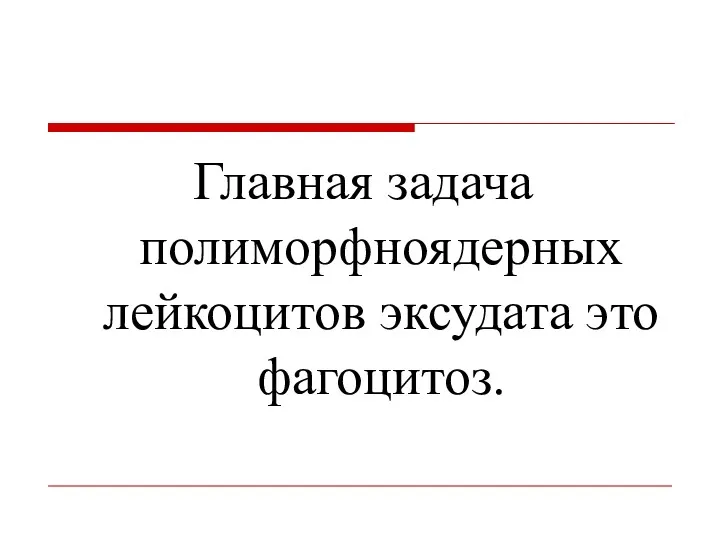 Главная задача полиморфноядерных лейкоцитов эксудата это фагоцитоз.