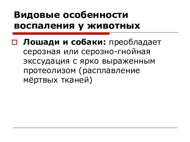 Видовые особенности воспаления у животных Лошади и собаки: преобладает серозная