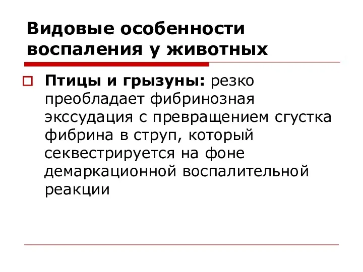 Видовые особенности воспаления у животных Птицы и грызуны: резко преобладает