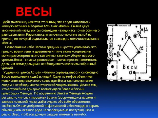 ВЕСЫ Действительно, кажется странным, что среди животных и «полуживотных» в