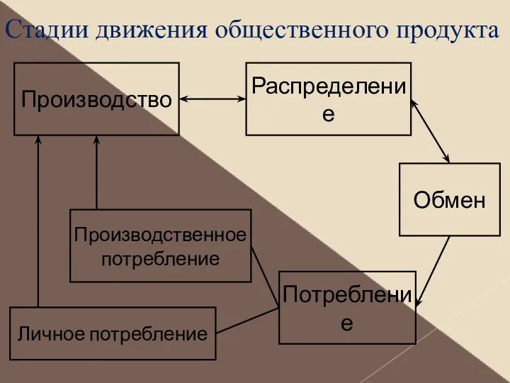 Производство Распределение Потребление Обмен Личное потребление Производственное потребление Стадии движения общественного продукта