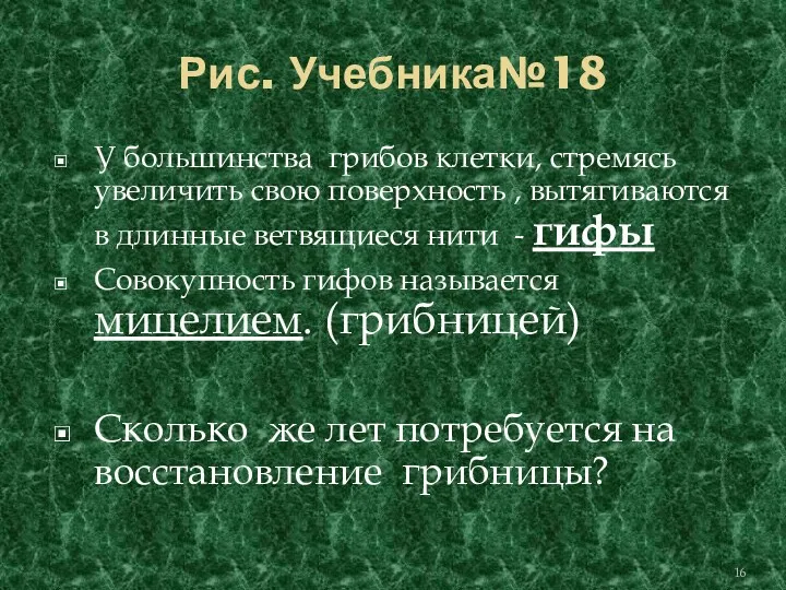 Рис. Учебника№18 У большинства грибов клетки, стремясь увеличить свою поверхность