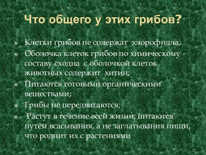 Что общего у этих грибов? Клетки грибов не содержат хлорофилла;