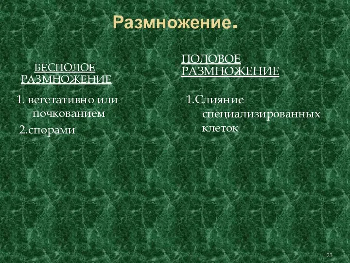 Размножение. БЕСПОЛОЕ РАЗМНОЖЕНИЕ ПОЛОВОЕ РАЗМНОЖЕНИЕ 1. вегетативно или почкованием 2.спорами 1.Слияние специализированных клеток