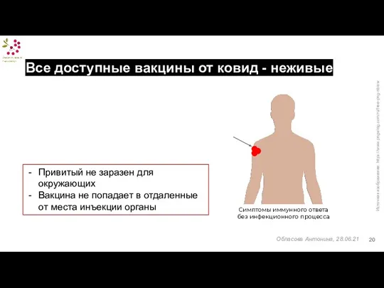 Симптомы иммунного ответа без инфекционного процесса Источник изображения: https://www.pngwing.com/ru/free-png-nbisw Обласова Антонина, 28.06.21 Привитый