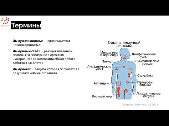 Термины Иммунная система — одна из систем нашего организма; Иммунный ответ — реакция