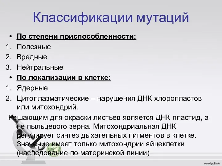 Классификации мутаций По степени приспособленности: Полезные Вредные Нейтральные По локализации