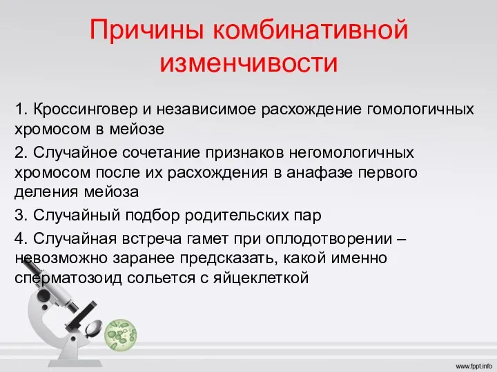 Причины комбинативной изменчивости 1. Кроссинговер и независимое расхождение гомологичных хромосом