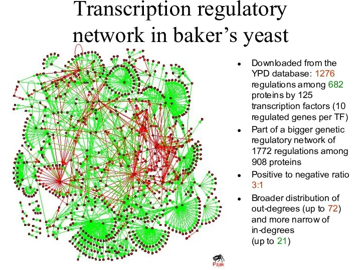 Transcription regulatory network in baker’s yeast Downloaded from the YPD