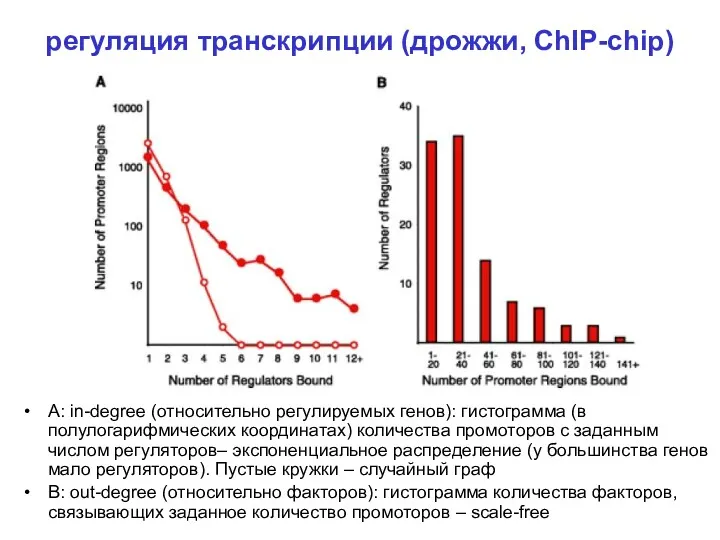 регуляция транскрипции (дрожжи, ChIP-chip) A: in-degree (относительно регулируемых генов): гистограмма