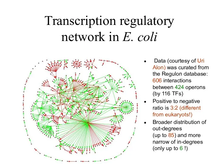 Transcription regulatory network in E. coli Data (courtesy of Uri