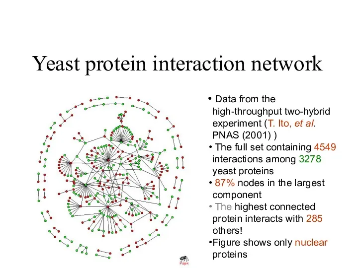 Yeast protein interaction network Data from the high-throughput two-hybrid experiment