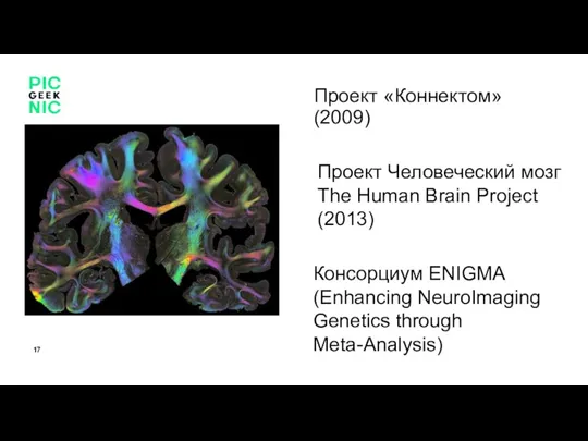 Проект «Коннектом» (2009) Проект Человеческий мозг The Human Brain Project