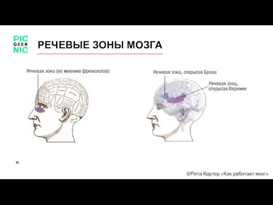 ©Рита Картер «Как работает мозг» РЕЧЕВЫЕ ЗОНЫ МОЗГА