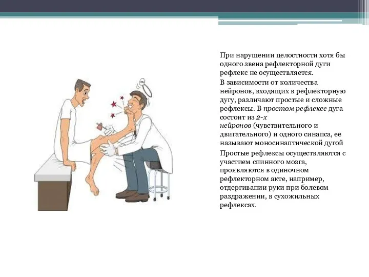 При нарушении целостности хотя бы одного звена рефлекторной дуги рефлекс