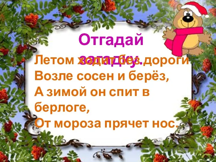 Отгадай загадку. Летом ходит без дороги Возле сосен и берёз,