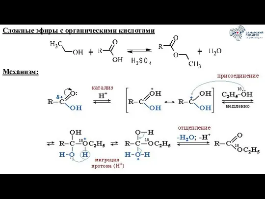 Сложные эфиры с органическими кислотами Механизм: