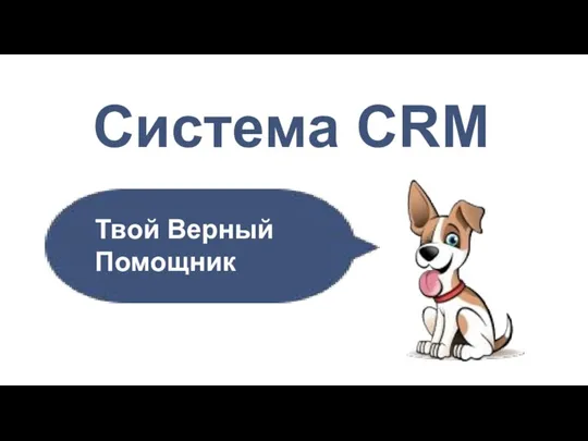 Система CRM Твой Верный Помощник