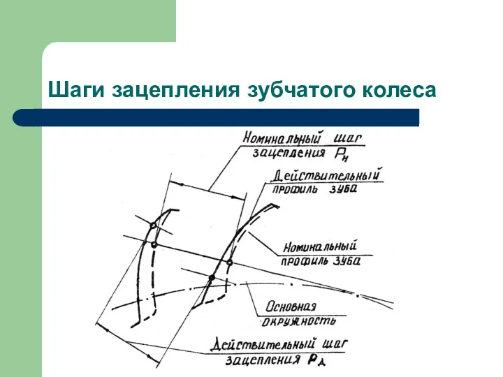 Шаги зацепления зубчатого колеса