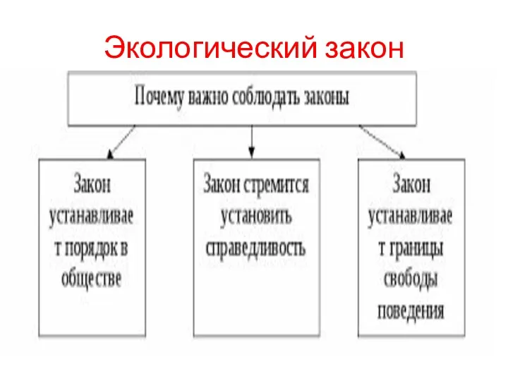 Экологический закон