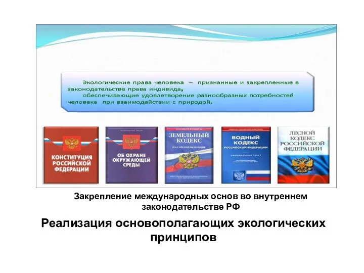 Закрепление международных основ во внутреннем законодательстве РФ Реализация основополагающих экологических принципов