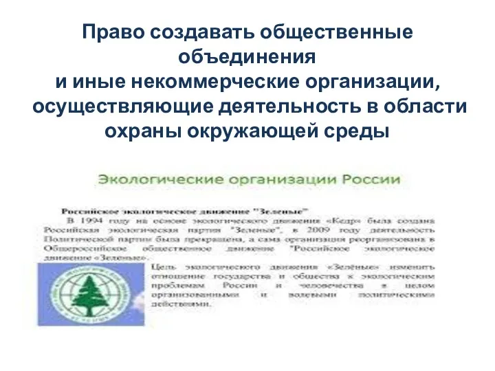 Право создавать общественные объединения и иные некоммерческие организации, осуществляющие деятельность в области охраны окружающей среды