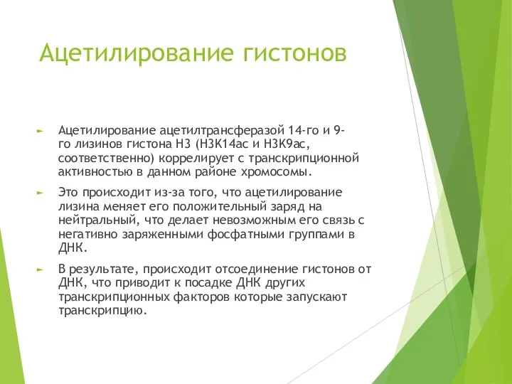 Ацетилирование гистонов Ацетилирование ацетилтрансферазой 14-го и 9-го лизинов гистона H3