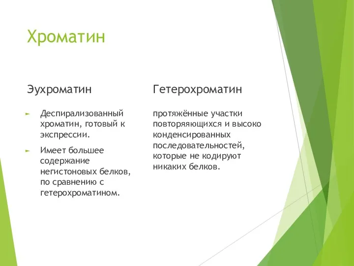 Хроматин Эухроматин Деспирализованный хроматин, готовый к экспрессии. Имеет большее содержание