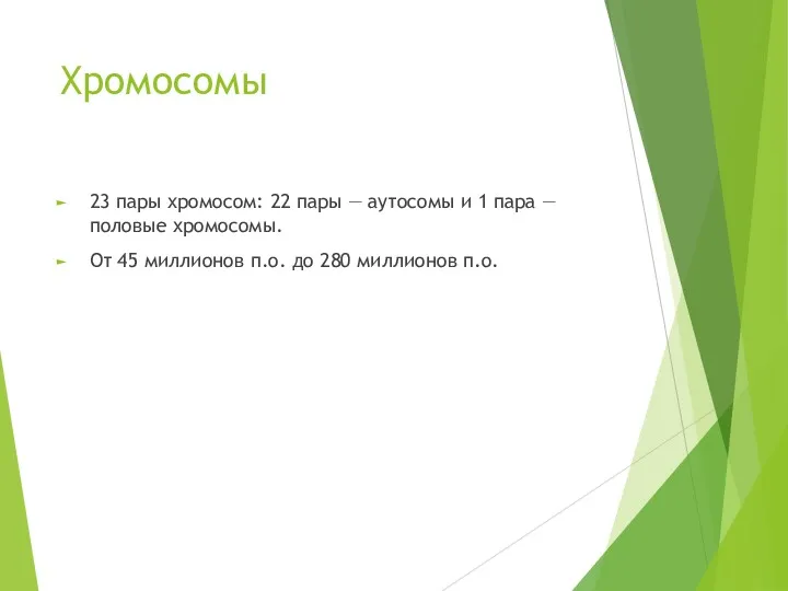 Хромосомы 23 пары хромосом: 22 пары — аутосомы и 1