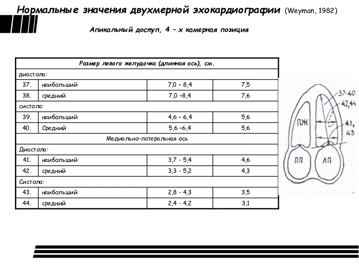 Нормальные значения двухмерной эхокардиографии (Weyman, 1982) Апикальный доступ, 4 – х камерная позиция