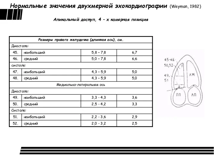 Нормальные значения двухмерной эхокардиографии (Weyman, 1982) Апикальный доступ, 4 – х камерная позиция