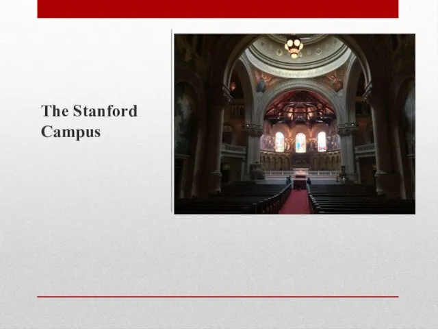 The Stanford Campus