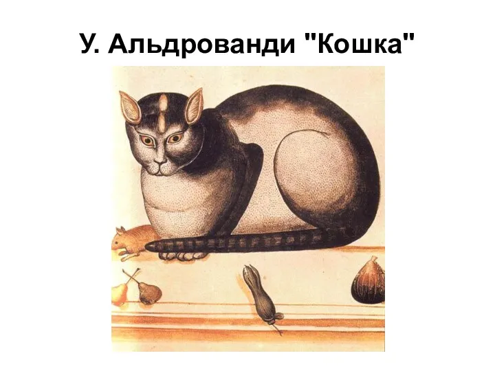 У. Альдрованди "Кошка"