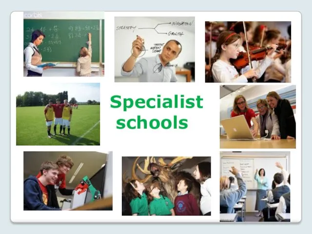 Specialist schools