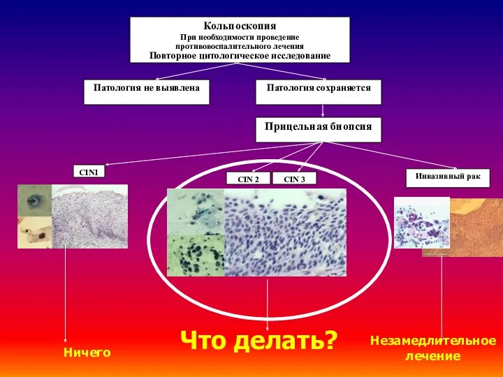 Кольпоскопия При необходимости проведение противовоспалительного лечения Повторное цитологическое исследование Патология