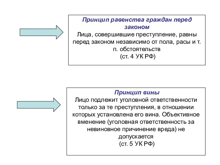 Принцип равенства граждан перед законом Лица, совершившие преступление, равны перед