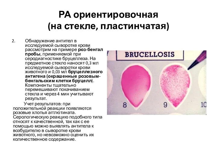 РА ориентировочная (на стекле, пластинчатая) Обнаружение антител в исследуемой сыворотке