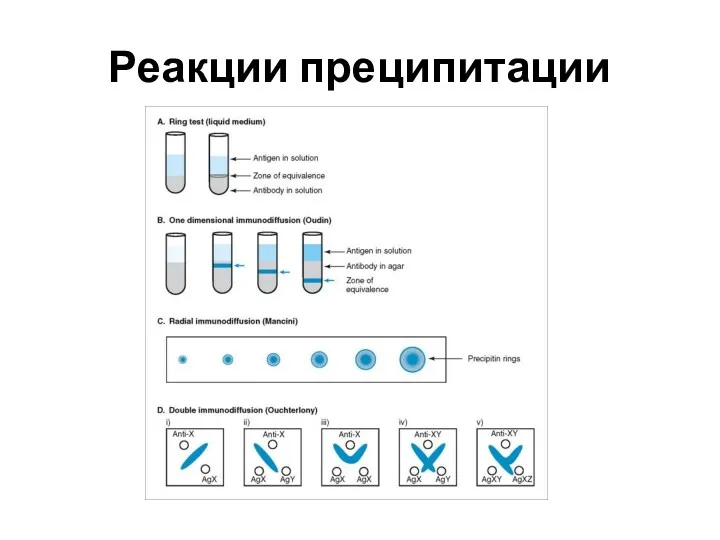 Реакции преципитации