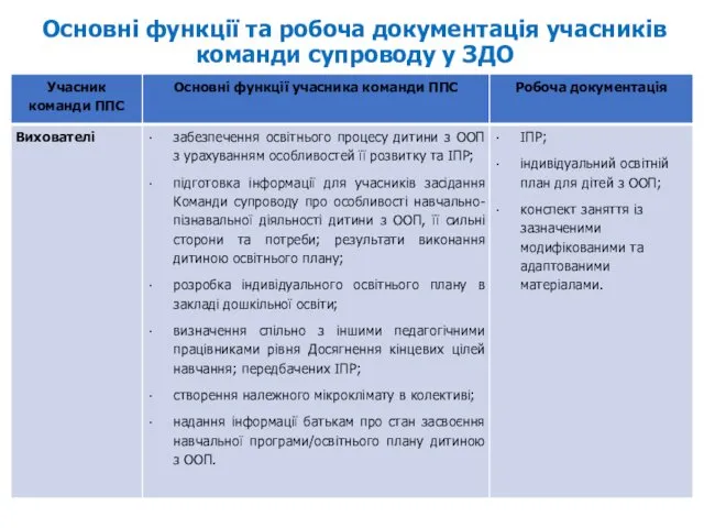 Основні функції та робоча документація учасників команди супроводу у ЗДО