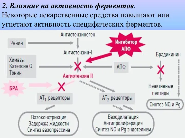 2. Влияние на активность ферментов. Некоторые лекарственные средства повышают или угнетают активность специфических ферментов.