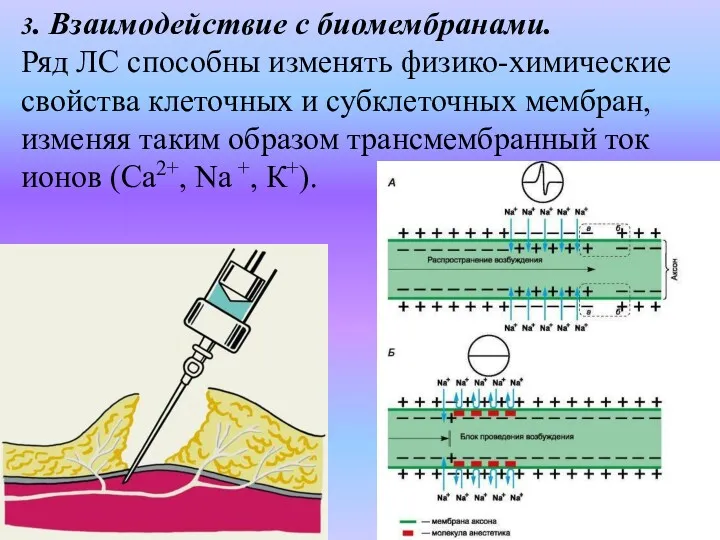 3. Взаимодействие с биомембранами. Ряд ЛС способны изменять физико-химические свойства