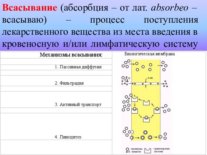 Всасывание (абсорбция – от лат. absorbeo – всасываю) – процесс