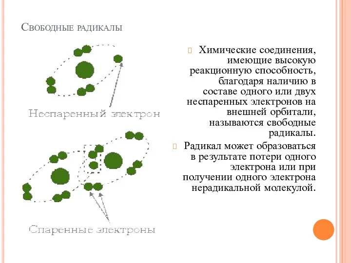 Свободные радикалы Химические соединения, имеющие высокую реакционную способность, благодаря наличию