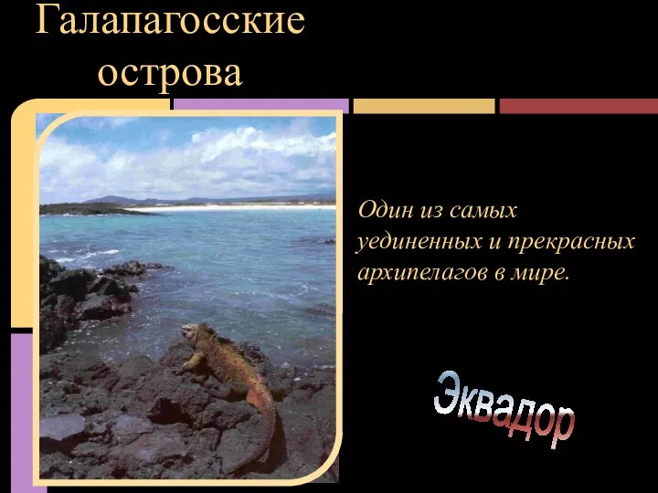 Галапагосские острова Один из самых уединенных и прекрасных архипелагов в мире.