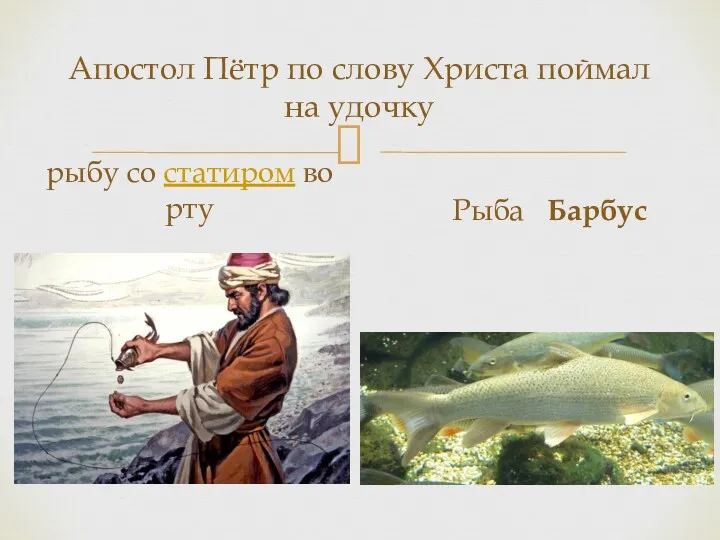Апостол Пётр по слову Христа поймал на удочку рыбу со статиром во рту Рыба Барбус