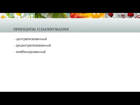 принципы планирования централизованный децентрализованный комбинированный