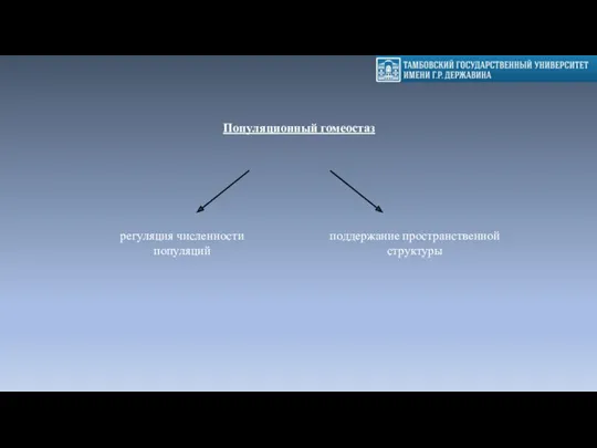 Популяционный гомеостаз регуляция численности популяций поддержание пространственной структуры