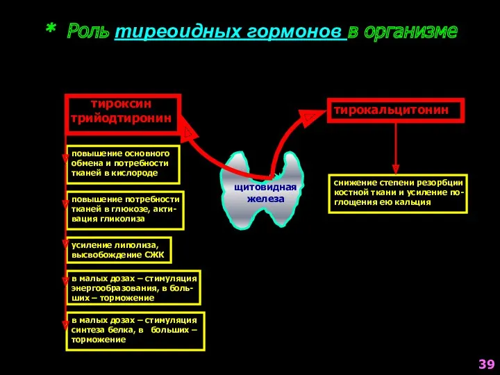 * Роль тиреоидных гормонов в организме тироксин трийодтиронин тирокальцитонин повышение