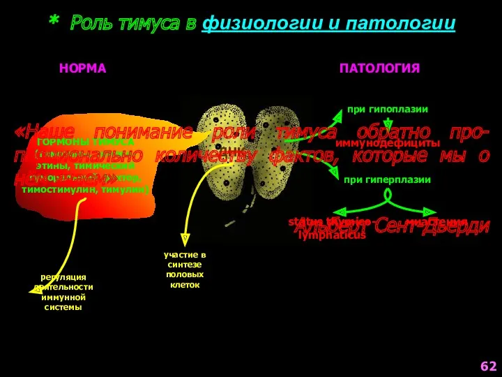 * Роль тимуса в физиологии и патологии НОРМА ПАТОЛОГИЯ ГОРМОНЫ