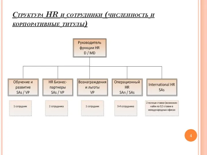 Структура HR и сотрудники (численность и корпоративные титулы)